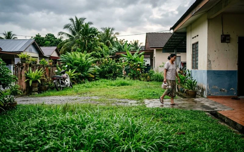Wet-season lawn with rapid growth during Selangor monsoon